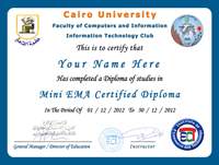 دبلومة التسويق الالكترونى المصغرة Mini EMA Certified Diploma